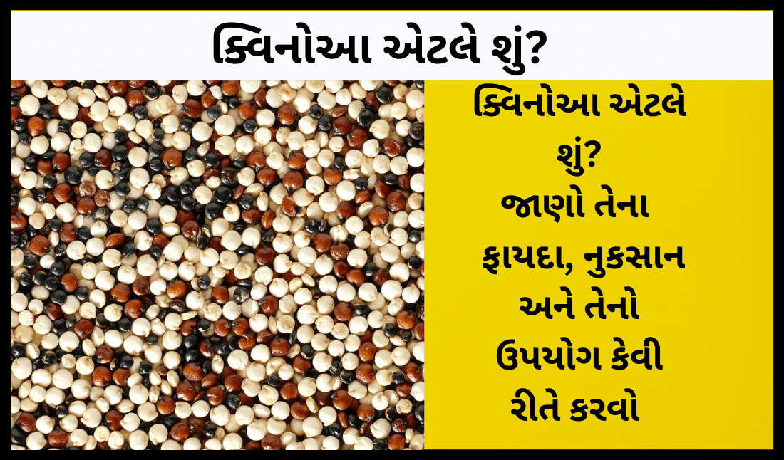 Quinoa In Gujarati