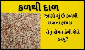 Horse Gram in Gujarati