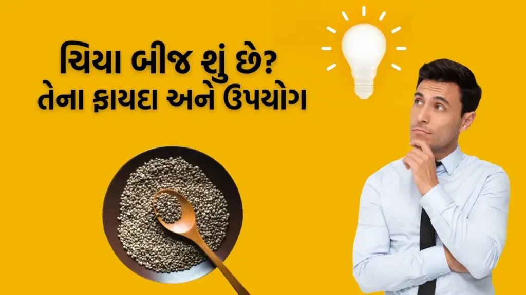 Chia seed in Gujarati Meaning